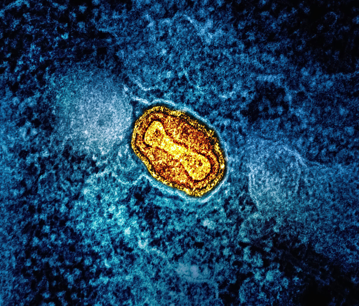 Tired All the Time? It Might Be Your Mitochondria.