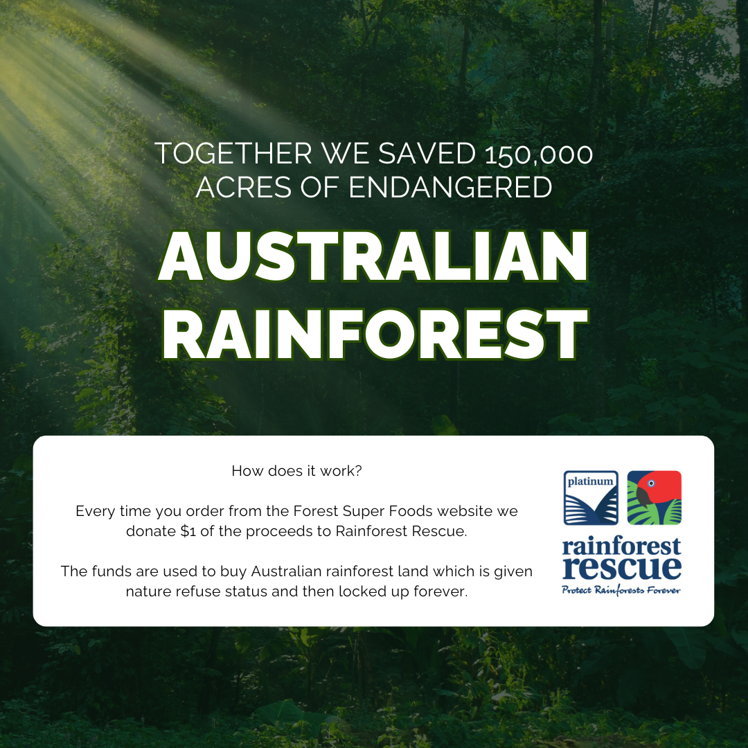 Australian Grown Gut Bundle supporting rainforest conservation with proceeds donated to Rainforest Rescue by Forest Super Foods