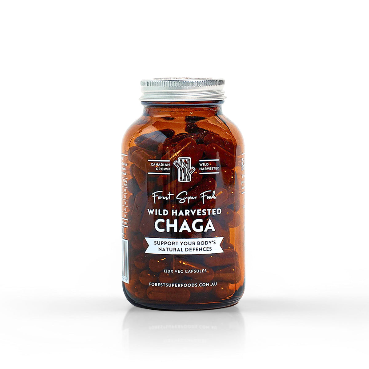 Chaga: The Antioxidant Powerhouse with Gut-Healing Potential