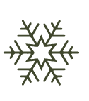 Freeze Dried Icon